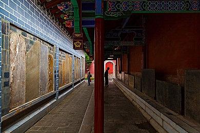 心理恐怖游戏《Project Songbird》Steam页面开放 发售日待定